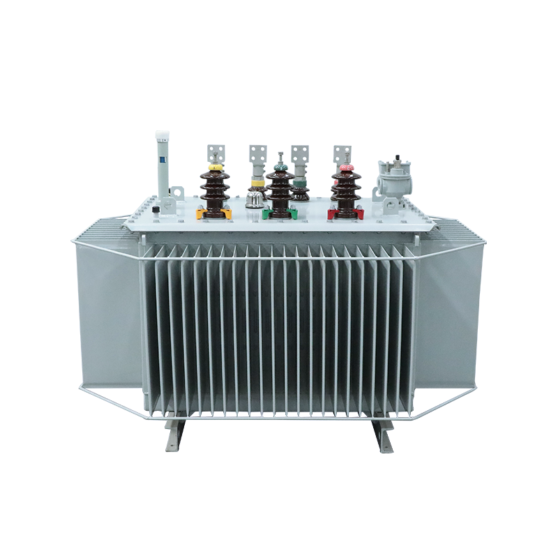Oil-immersed distribution transformer